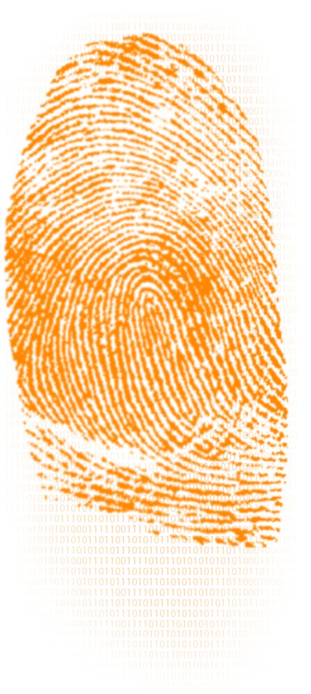 fingerprint image